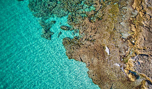 Universal Hotel Perla