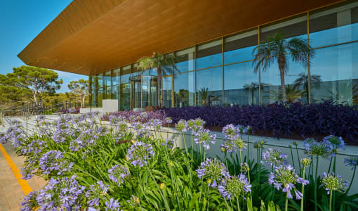 Hipotels Playa De Palma Palace