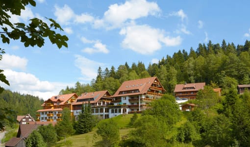 Wellnesshotel Forsthaus Auerhahn
