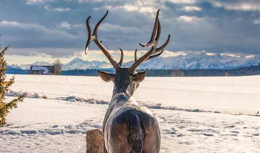 Das Weitblick Allgäu