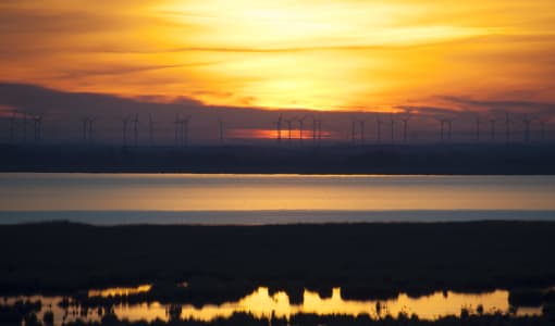 Pension - Weinhof Kranixfeld Fischl