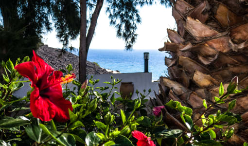 Marina Playa Suite Hotel