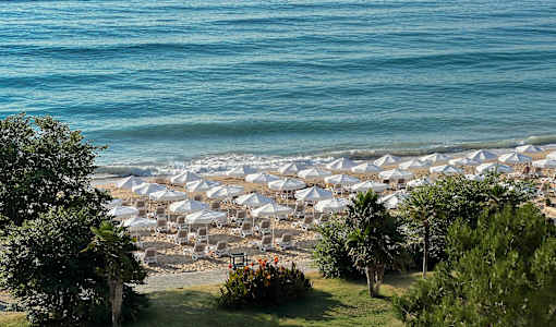 GRIFID Aqua Club Bolero