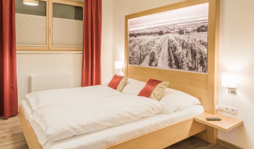 Pension - Weinhof Kranixfeld Fischl