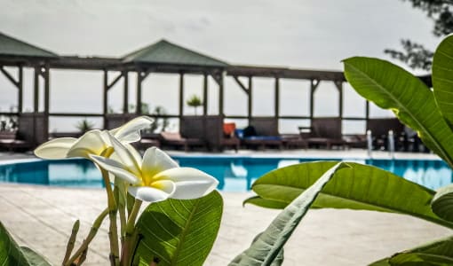 Marina Playa Suite Hotel