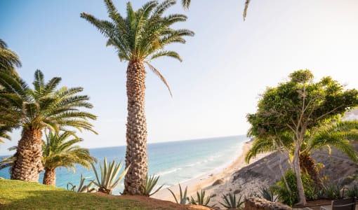 ROBINSON ESQUINZO PLAYA