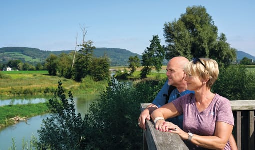 Dorint Parkhotel Bad Zurzach