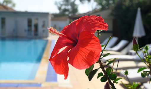 Cavomarina Beach- Adults Only