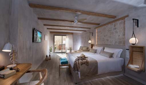 Cactus Mare - Adults only