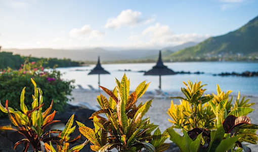 Sands Suites Resort & Spa