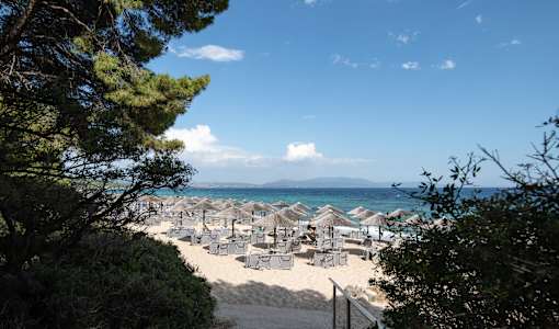Blue Dolphin Resort Hotel