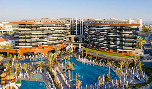 Calyptus Kirman Premium