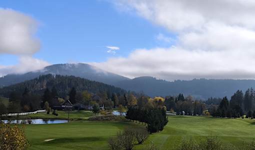 Schwarzwald Wellnesshotel SAIGERHÖH I Spa Golf & Wandern über dem Titisee