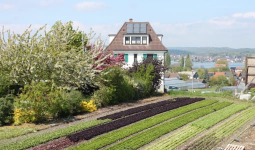 Hotel mein inselglück
