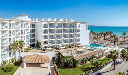 Myseahouse Flamingo - Adults only