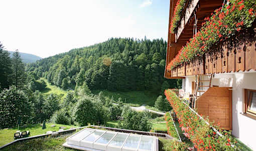 Wellnesshotel Forsthaus Auerhahn