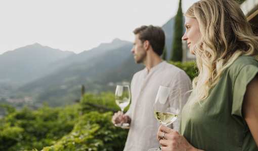 SPA & Relax Hotel Erika