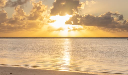 Sunrise Attitude - Adults Only