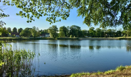 Hotel & Spa Sommerfeld