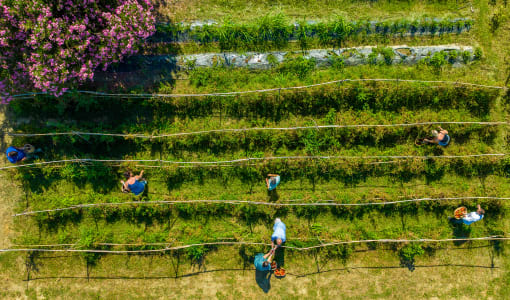 Labranda Lebedos Princess