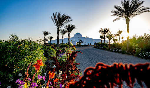 Hotel Gorgonia Beach Resort