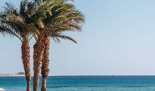 Baron Palace Sahl Hasheesh