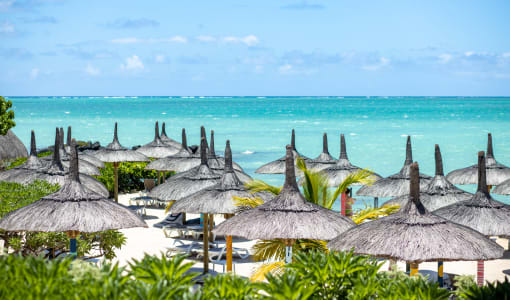 Lagoon Attitude - Adults only