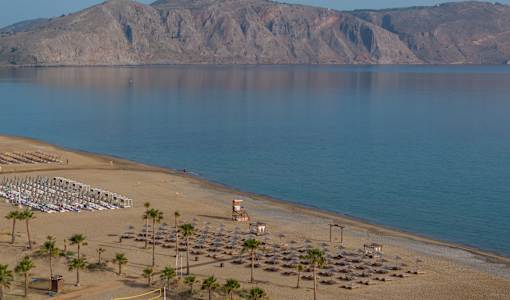 Delfina Tropic Beach