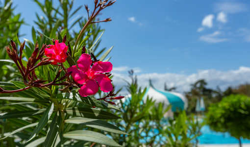 Hotel Kvarner Palace