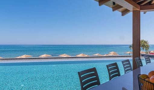 Cactus Mare - Adults only