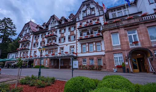 Das Palmenwald Schwarzwald, BW Signature Collection