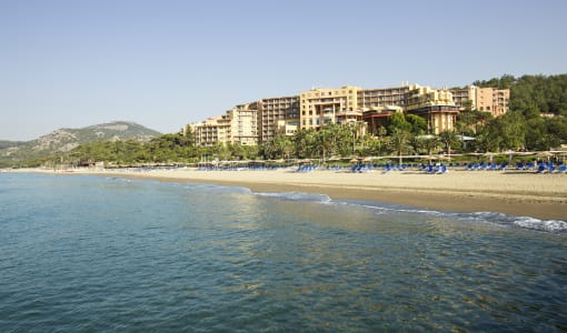 ROBINSON SARIGERME PARK