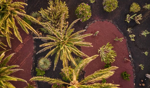 Seaside Hotel Los Jameos