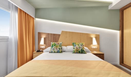 Hotel Riu Playa Park