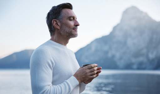 DAS TRAUNSEE - Das Hotel zum See