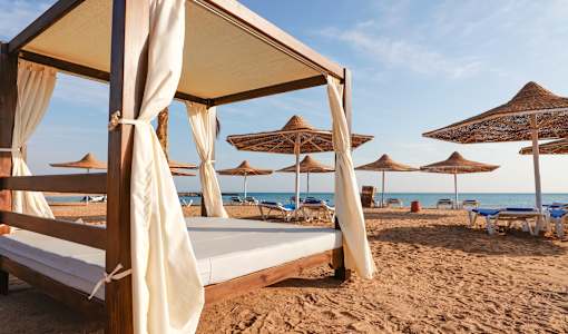 Calimera Blend Paradise