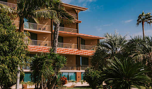 The Views Oasis