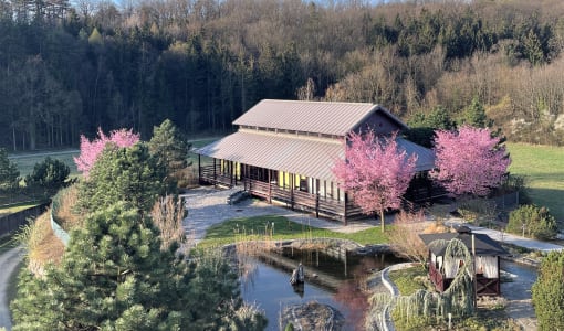 Linsberg Asia Hotel & Spa