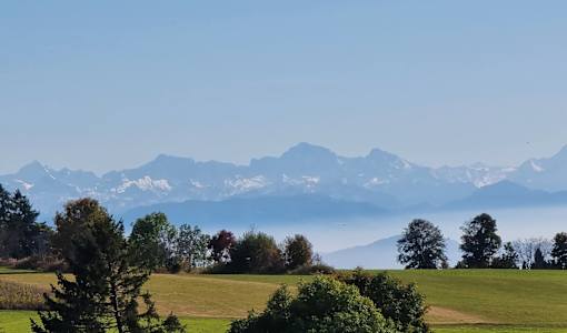 Bio- & Wellnesshotel Alpenblick