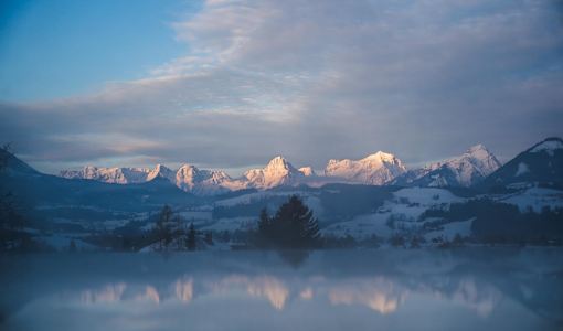 Dilly - Das Nationalpark Resort