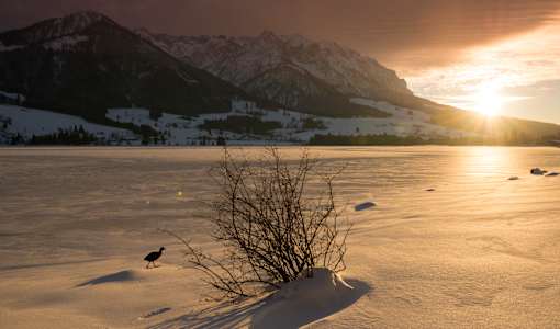 Hotel Bellevue am See