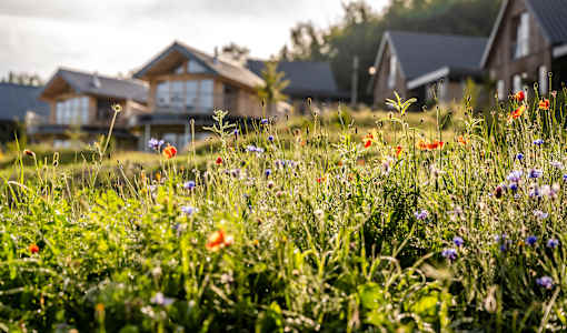 Bergdorf LiebesGrün