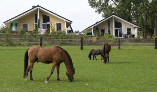Ostsee Ferienhof Bendfeldt