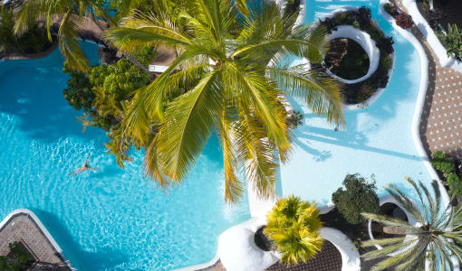 Dreams Jardín Tropical