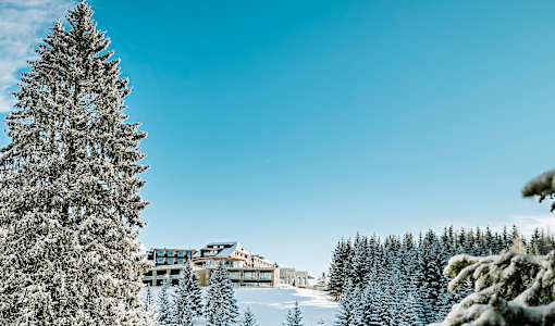 Almwellness Hotel Pierer