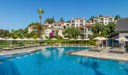 Arum Barut Collection