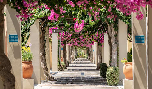 Astir Odysseus Kos Resort & Spa