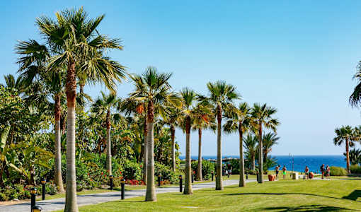 Impressive Playa Granada