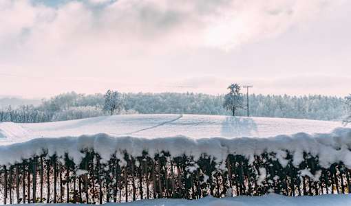 Gut Hügle Erlebnisbauernhof