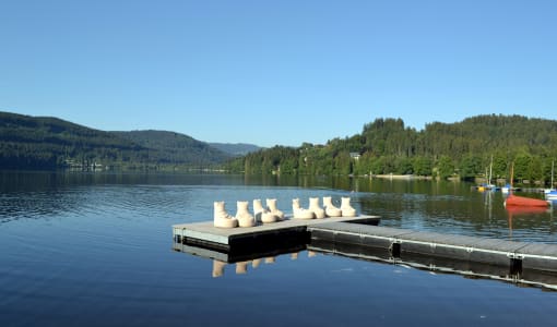 Treschers Schwarzwald Hotel